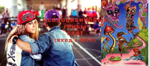 дурь Алзамай
