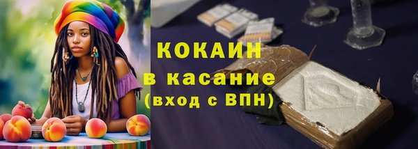 шишки Алексин