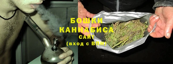 дурь Алзамай