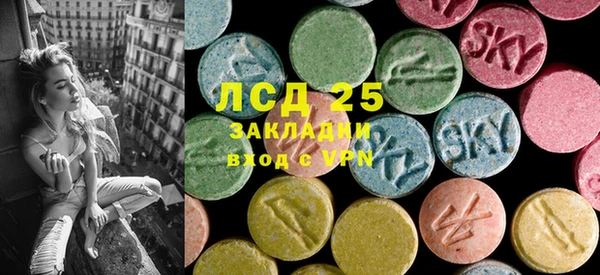 шишки Алексин