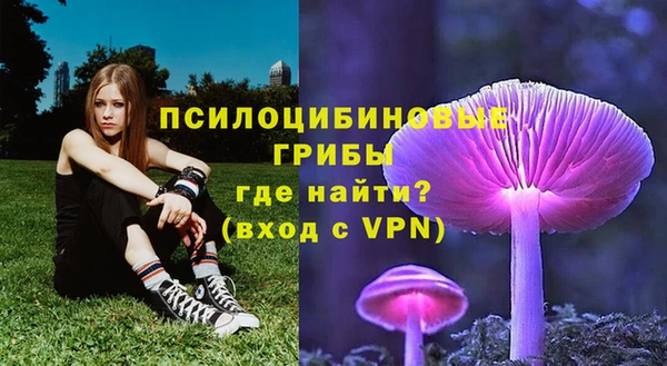 шишки Алексин