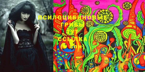 дурь Алзамай