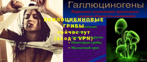 дурь Алзамай