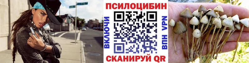 площадка формула  Тосно  Псилоцибиновые грибы мухоморы 